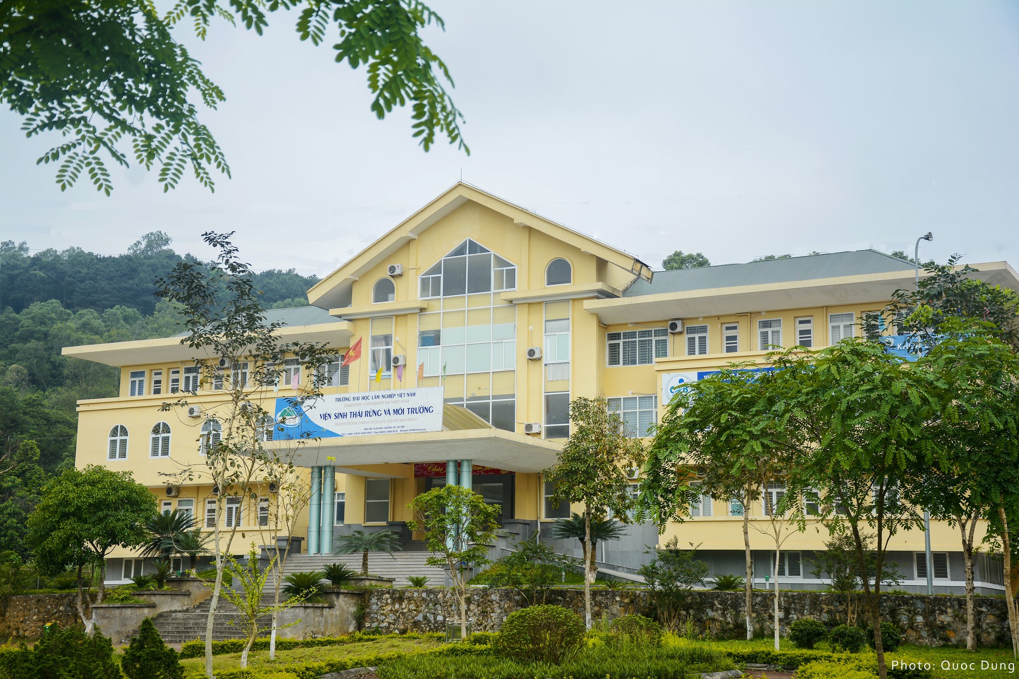 Đại học Lâm Nghiệp