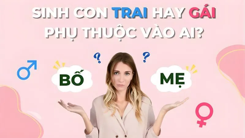 Ai thực sự là người quyết định giới tính của con