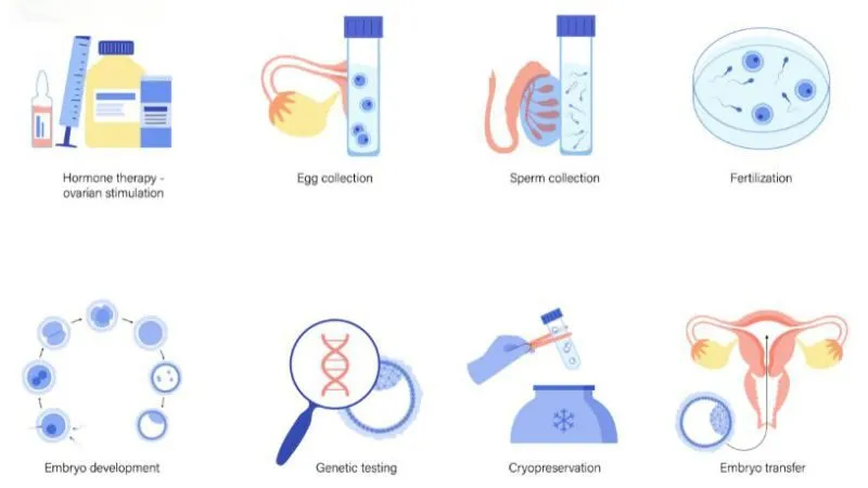 Các phương pháp hỗ trợ sinh con theo ý muốn hiện nay