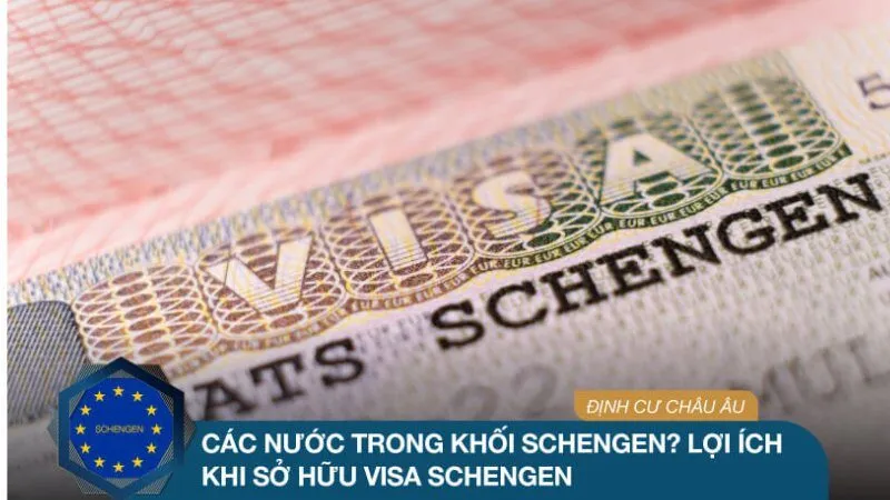 Bảo chứng uy tín cho các hồ sơ visa tương lai