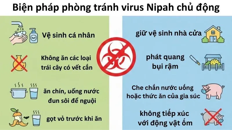 Biện pháp phòng tránh virus Nipah chủ động