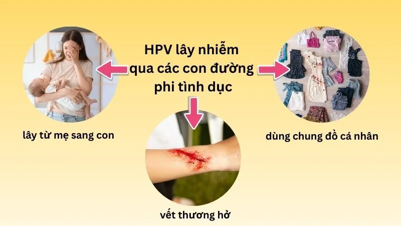 HPV lây nhiễm qua các con đường phi tình dục