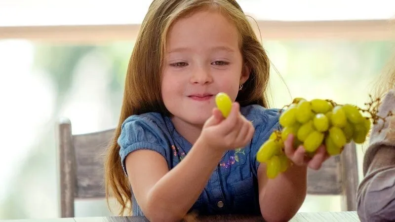 Lợi ích vượt trội khi sử dụng trái cây không hạt