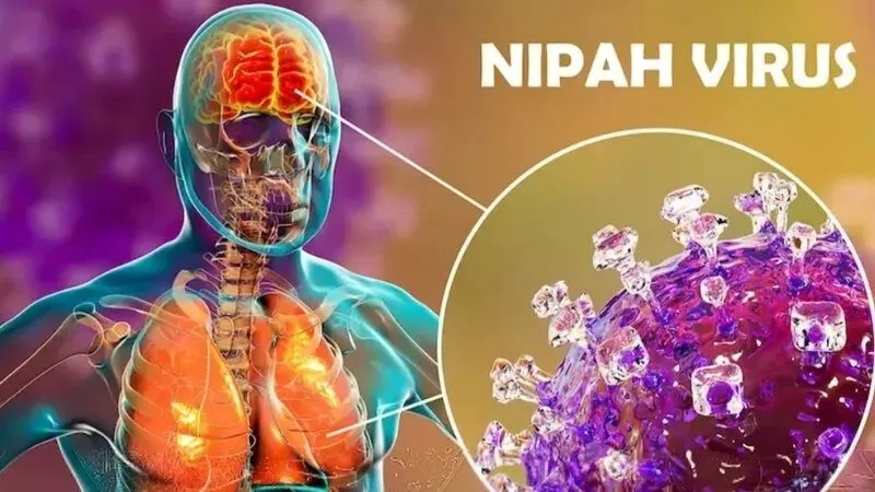 Những di chứng lâu dài đối với người sống sót