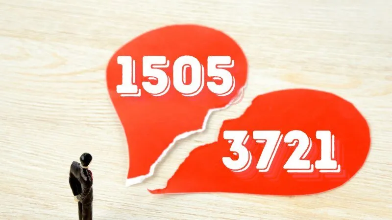 Sự kết hợp thú vị giữa 1505 và 3721 trong tình yêu