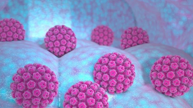 HPV là bệnh gì? Các dấu hiệu & cách phòng ngừa