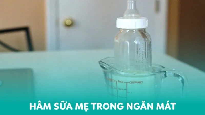 Hướng dẫn hâm sữa lấy từ ngăn mát đúng cách