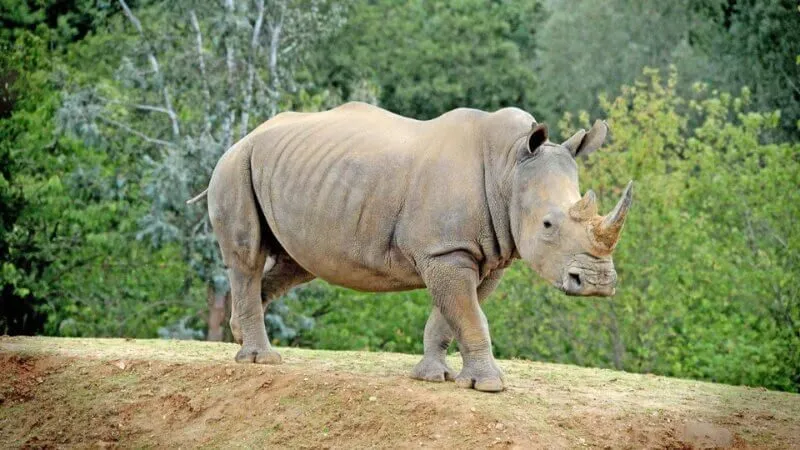 Chu Đăng Khoa Bị Phạt Như Thế Nào Theo Luật Pháp?