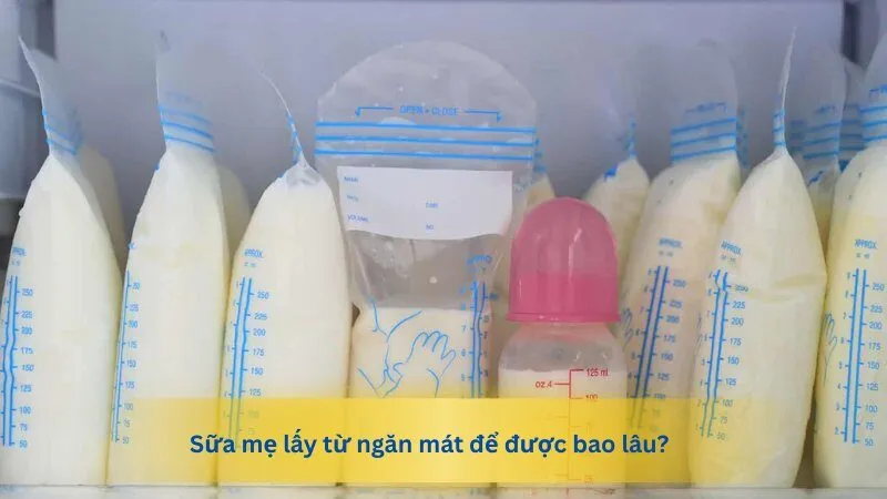 Sữa mẹ lấy từ ngăn mát để được bao lâu?